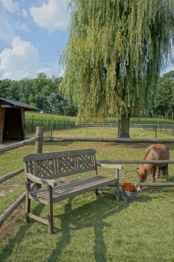 Landhuis met stallen, piste en weide op ca. 3800m&#178; te Neerpelt (Limburg) 