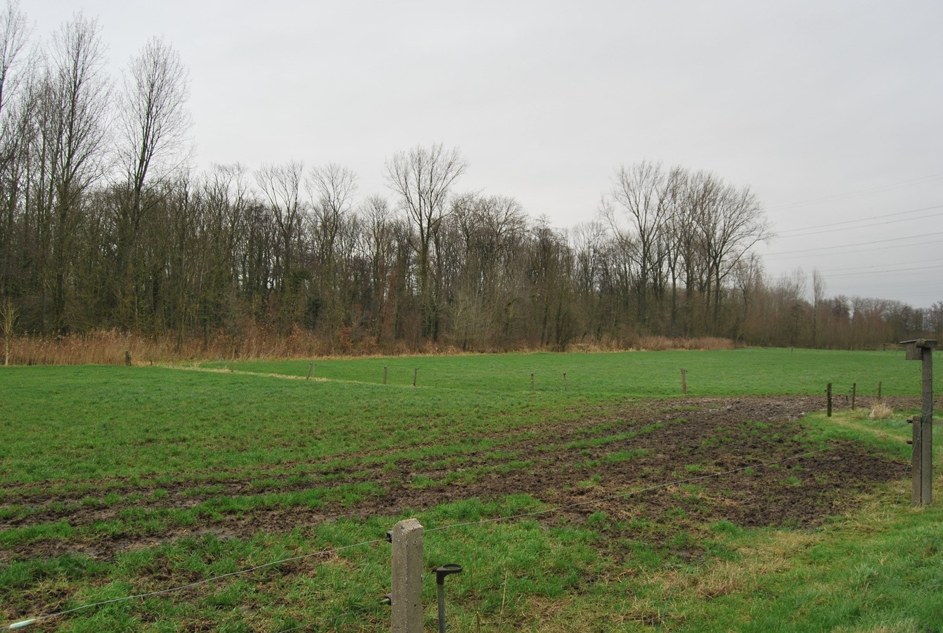 Te renoveren hoeve met loods op ca. 1,43ha te Deinze 