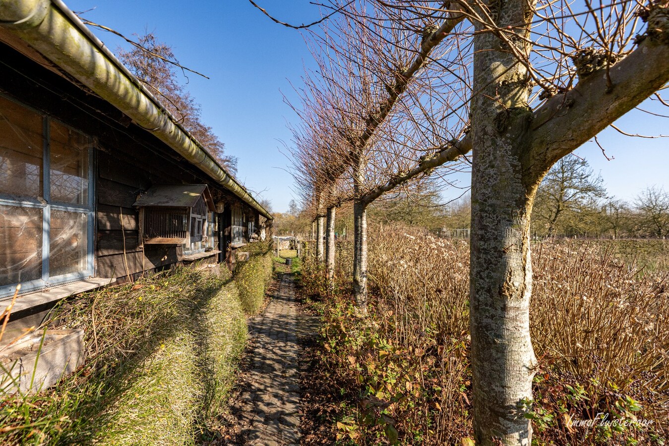 Laagbouwwoning met diverse aanhorigheden op ca. 7500 m&#178; te Ursel 