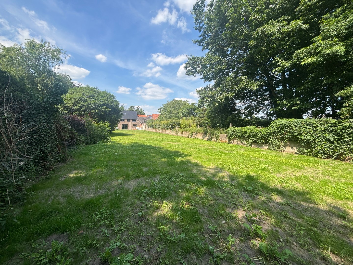 Ruime cascowoning met 4 slpk. op zuidgericht perceel van 9a 35ca in Mol 