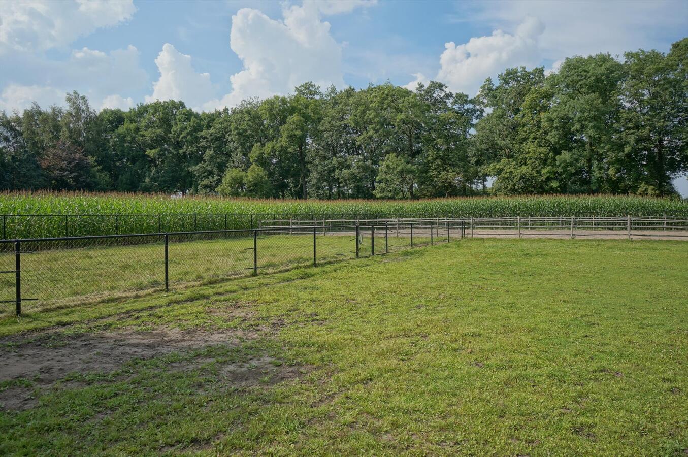 Landhuis met stallen, piste en weide op ca. 3800m&#178; te Neerpelt (Limburg) 