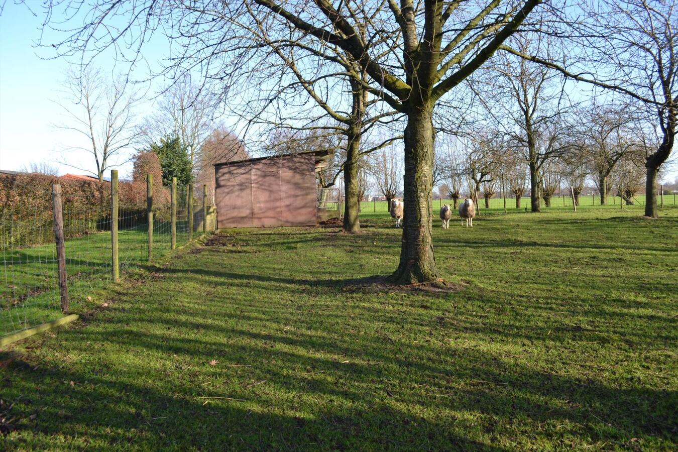 Hoeve met stallen op ca. 2Ha te Nieuwkerken-Waas (uitbreiding tot 4,5Ha mogelijk) 