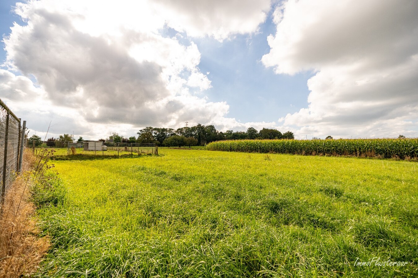 Charmant gerenoveerde woning met diverse bijgebouwen op ca. 1,9 ha te Bekkevoort. 