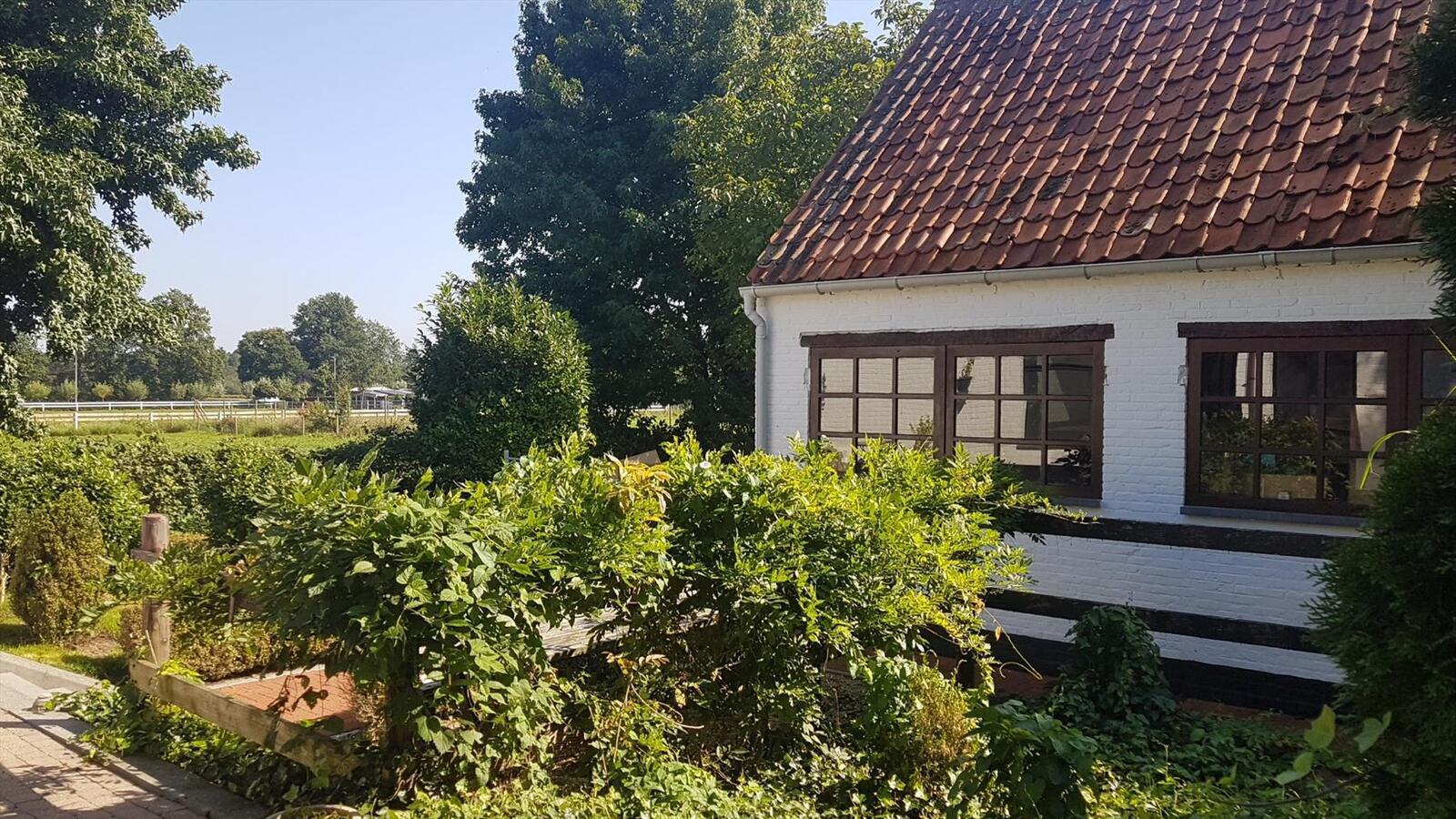 Charmante woning met paardenstallen op ca. 43a75 te Heppen/Leopoldsburg 