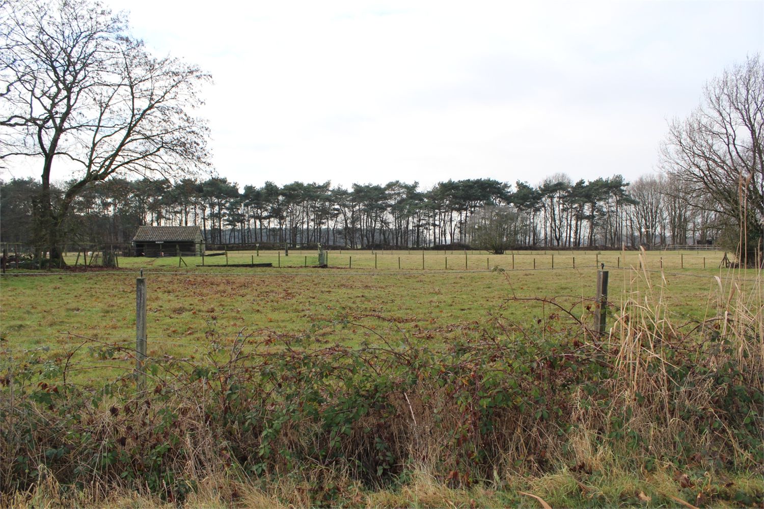 Grond verkocht in Stekene