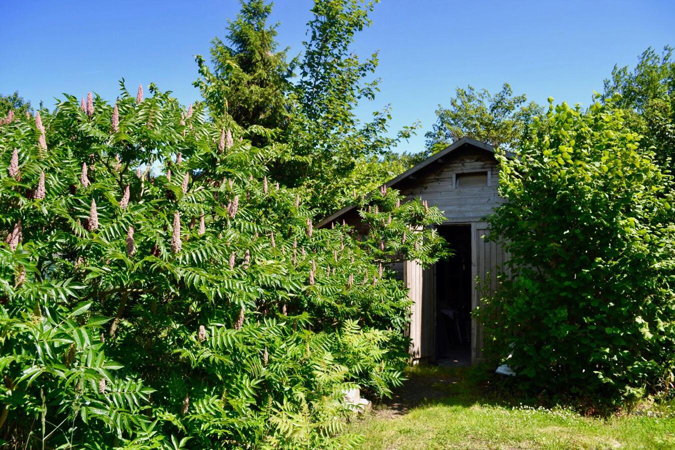 Propriété vendu À Temse