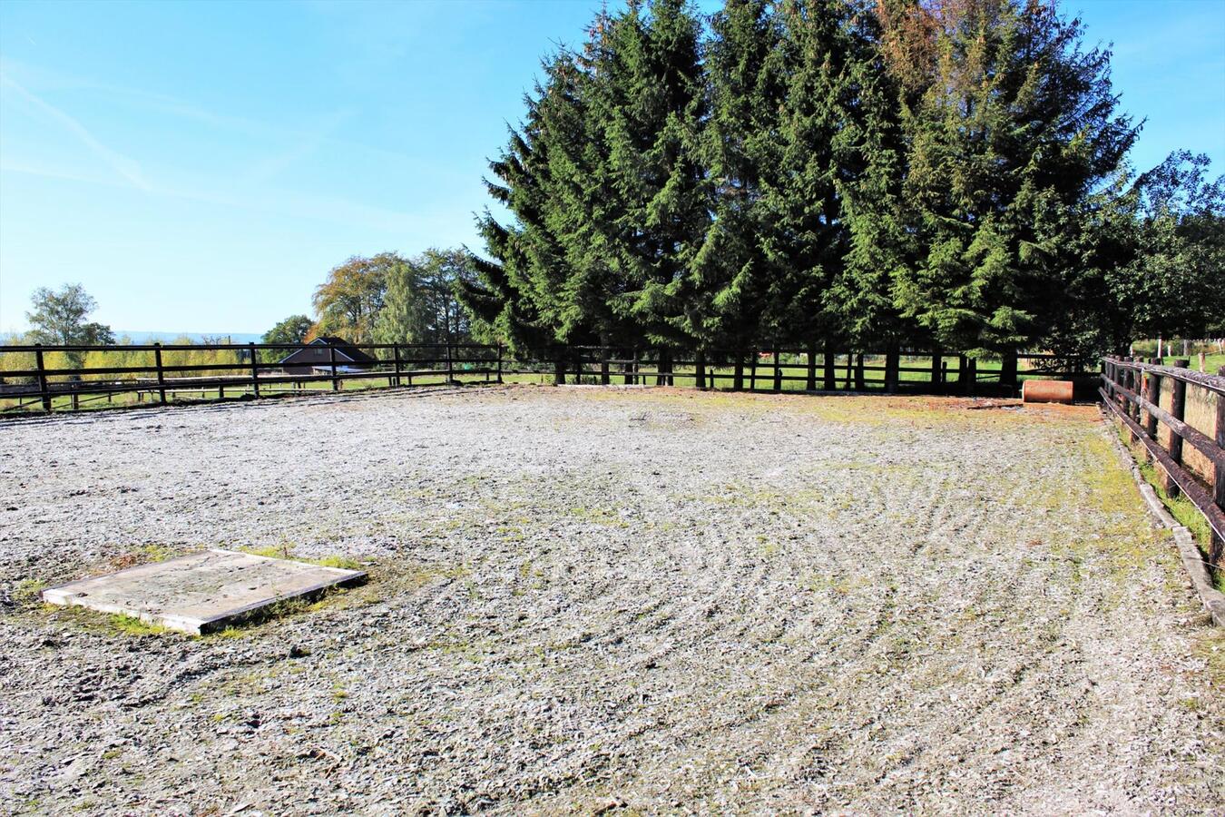 Villa avec boxes, piste ext&#233;rieure et p&#226;tures sur environ 1.9ha &#224; Malmedy (Li&#232;ge) 