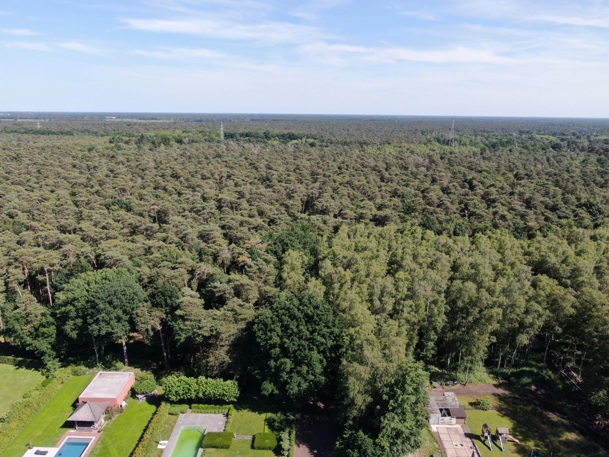 Uitzonderlijk rustig gelegen perceel van 2.500 m&#178; met priv&#233; oprijlaan van ca. 60 m grenzend aan natuurgebied te Brecht. 