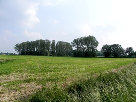 Grote langgevel hoeve met stallingen op ca. 1 ha 