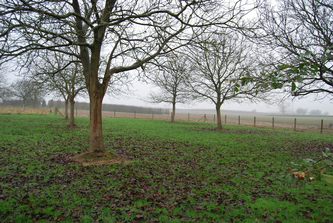 Farm sold in Vlezenbeek