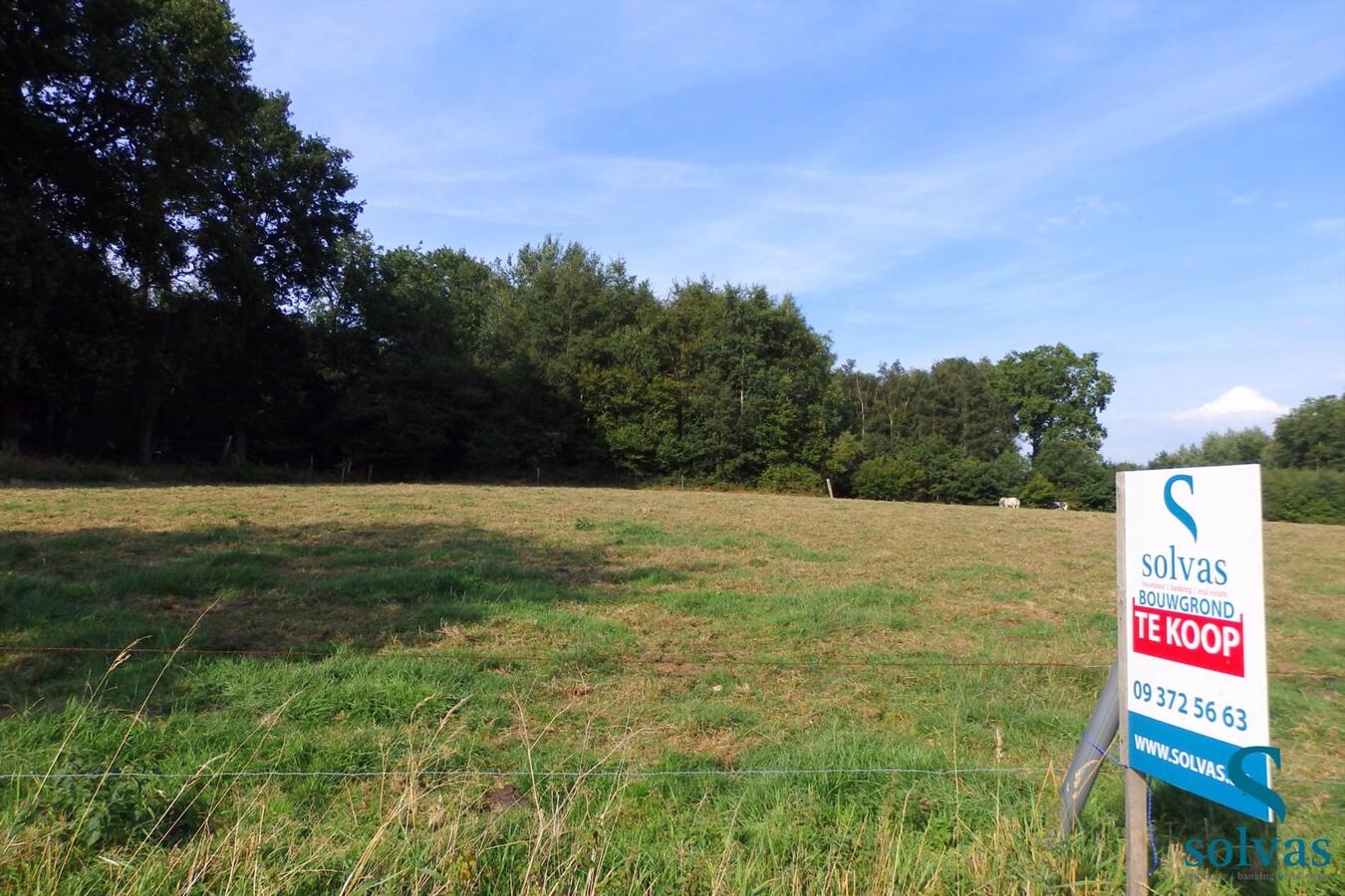 Grond te koop in Zomergem! 