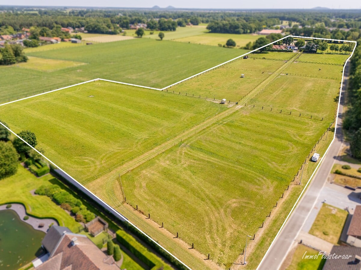 Complete horse accommodation on approximately 3.5 hectares in Helchteren 