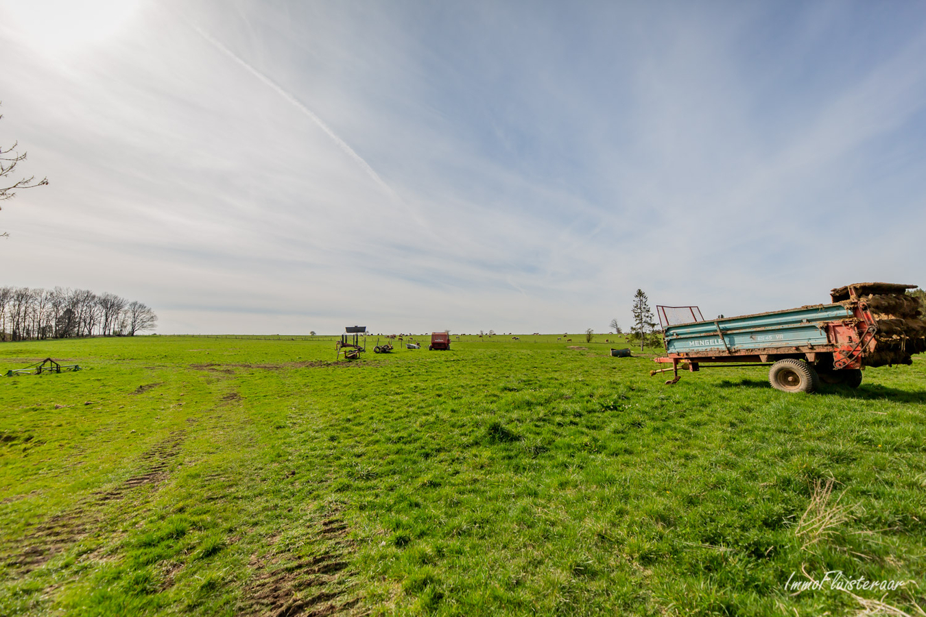 Woning met grote loods en weiland op ca. 9ha te Gr&#252;fflingen (Burg-Reuland/Luik) 