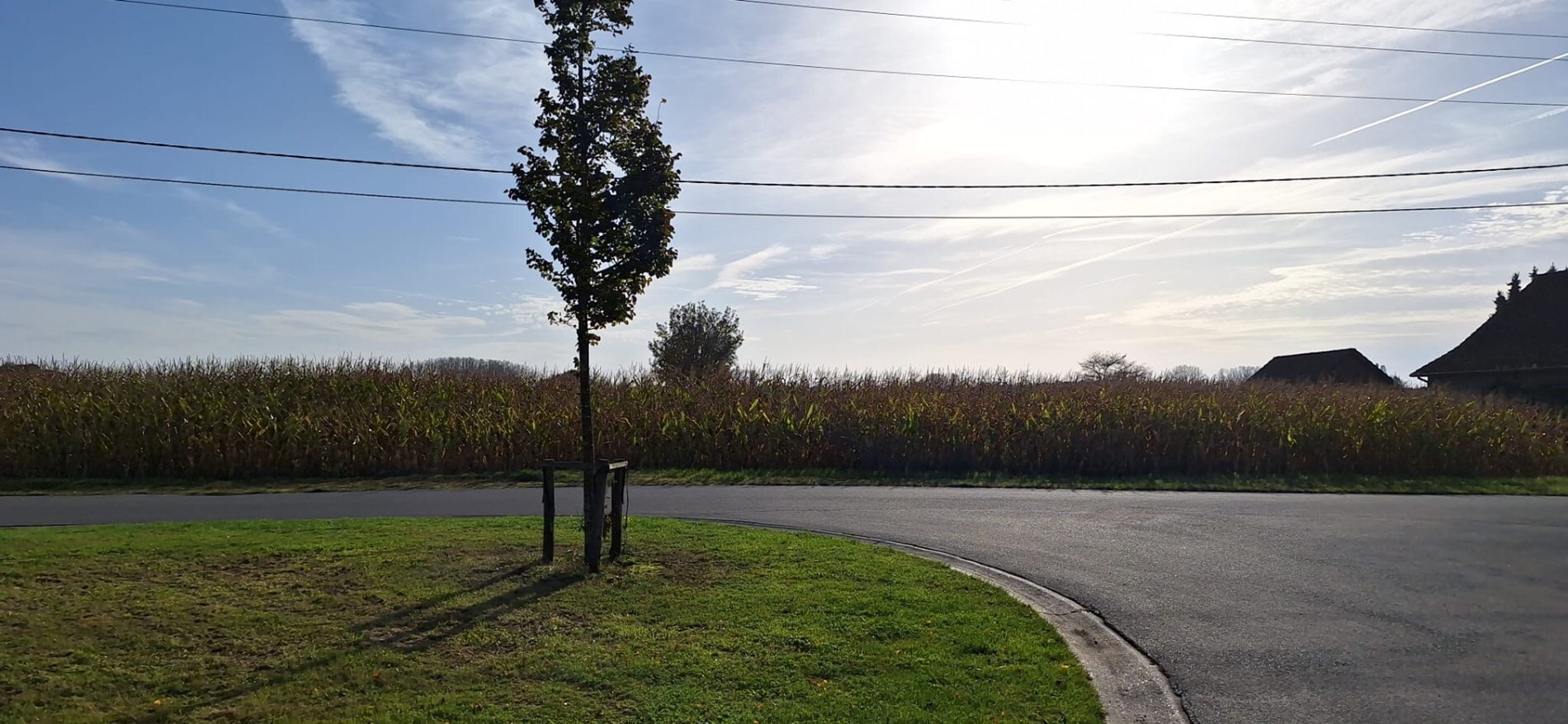 Bouwgrond met achterliggende gronden op ca. 1ha te Wijshagen (Oudsbergen) 