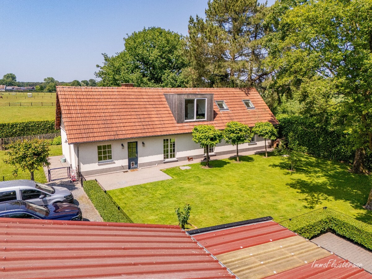 Complete horse accommodation on approximately 3.5 hectares in Helchteren 