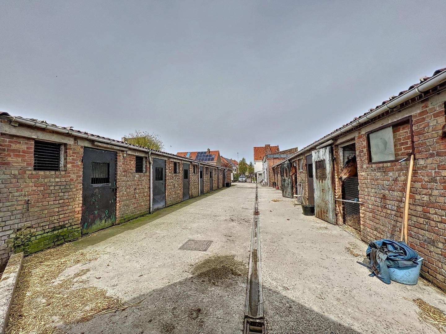 Instapklare woning (4 SLPK) in gegeerde woonwijk met paardenstallen 