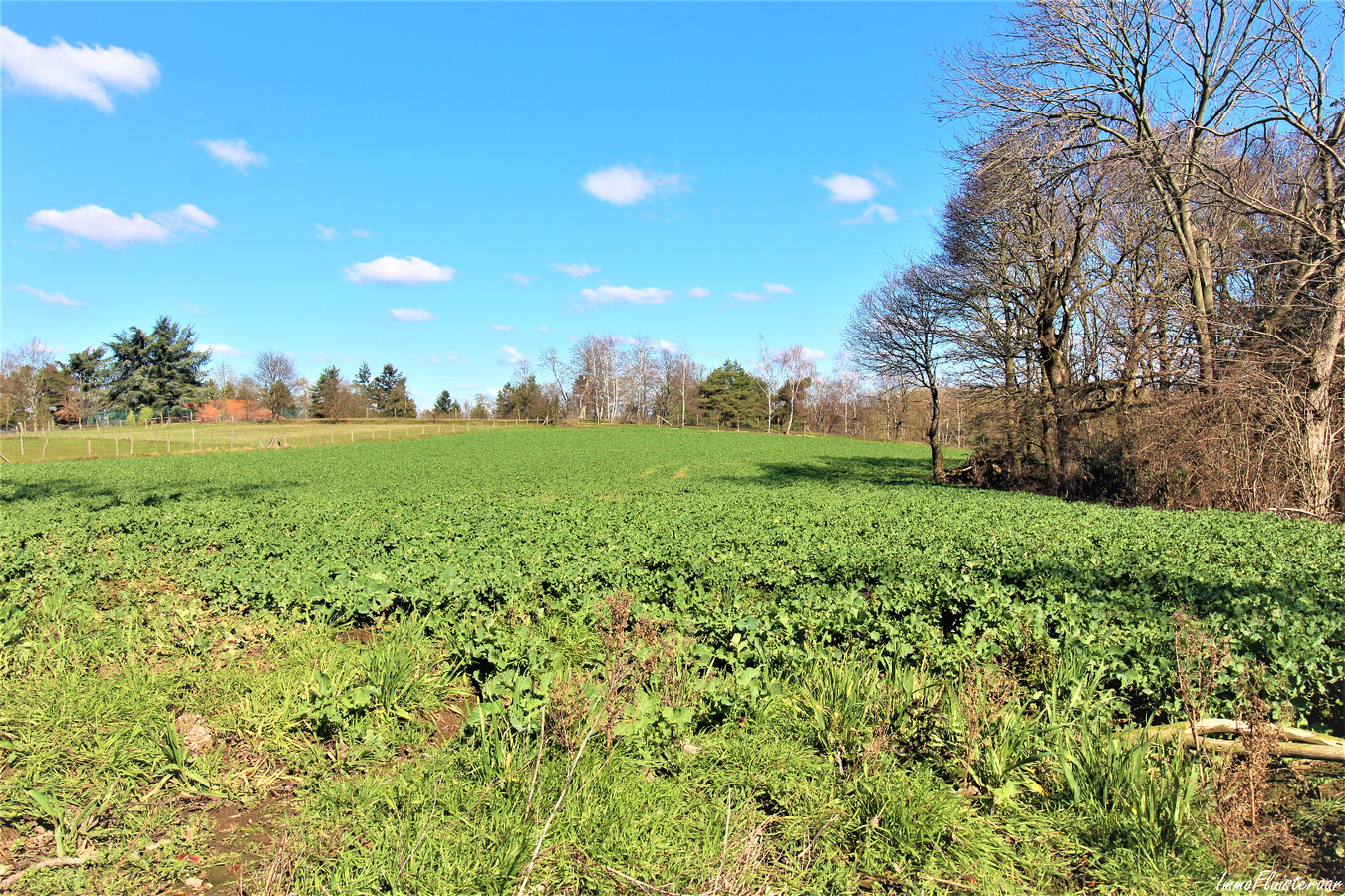 Farm sold in Scherpenheuvel-Zichem