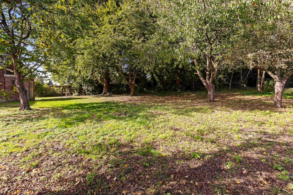 Karaktervolle herenwoning met ommuurde tuin te Ophasselt 