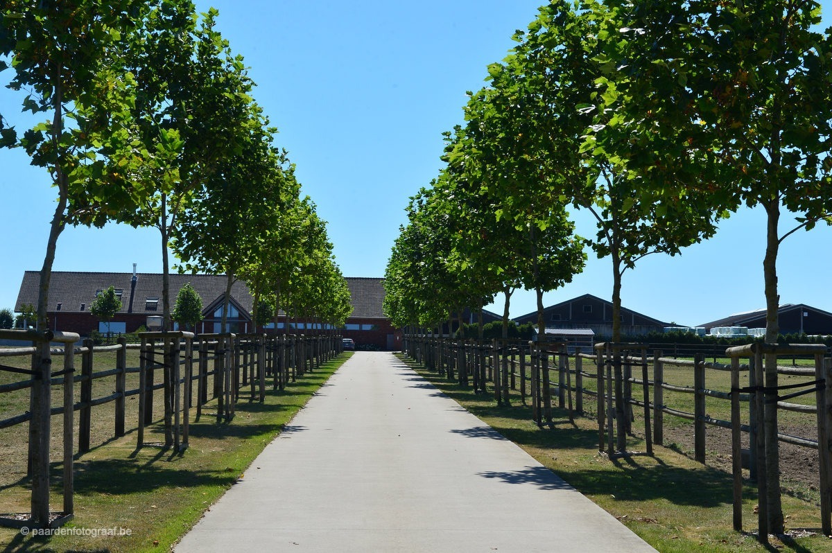 Propriété vendu À Reningelst