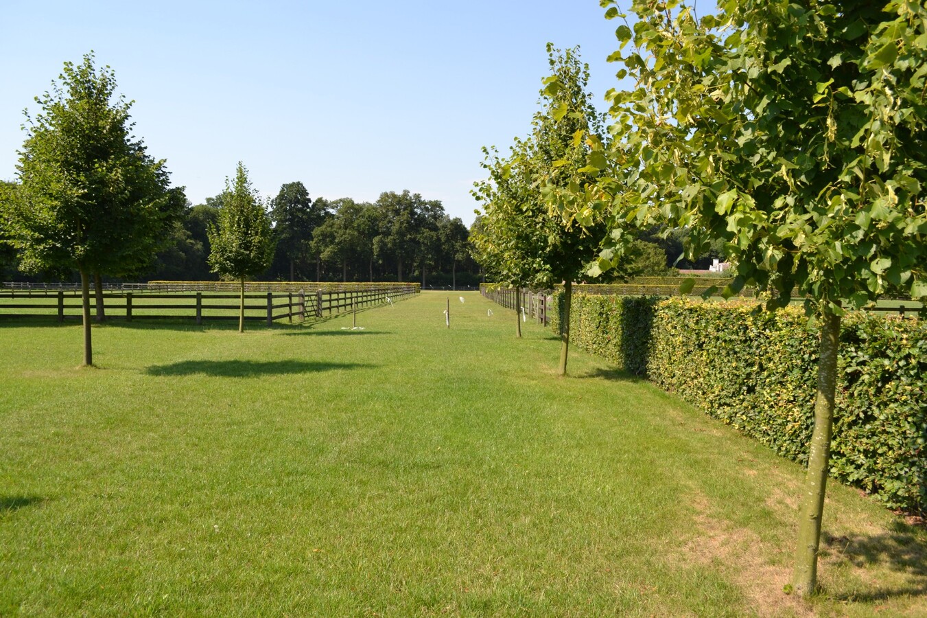 Farm sold in Hansbeke