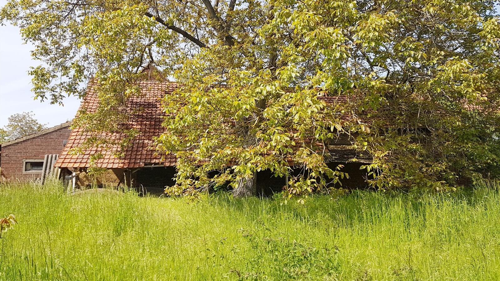 Gezellige te renoveren woning met stallingen op ca.72a te Neeroeteren 