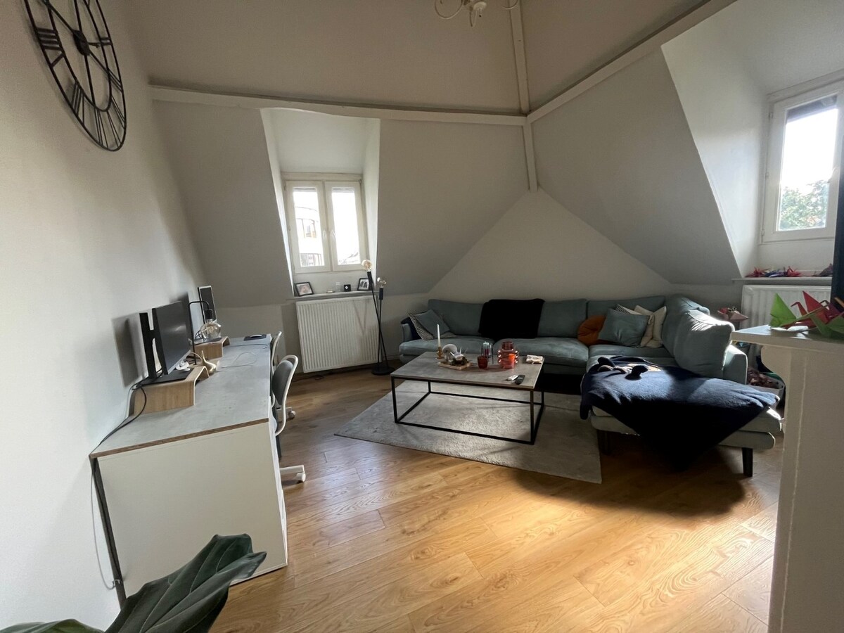 Tof dakappartement met 1 slaapkamer, vlakbij St-Pietersstation en Citadelpark 