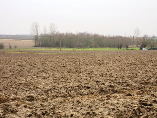 Vierkantshoeve omringd door ca. 12 ha grond 