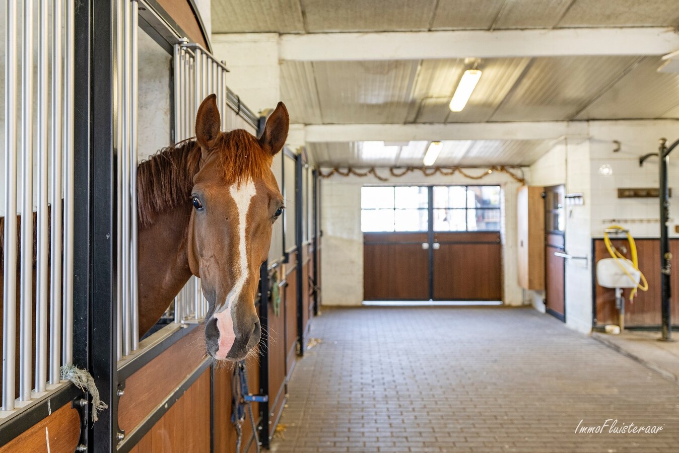 Uniek landhuis met uitgebreide paardenaccommodatie op ca. 1ha te Diepenbeek 