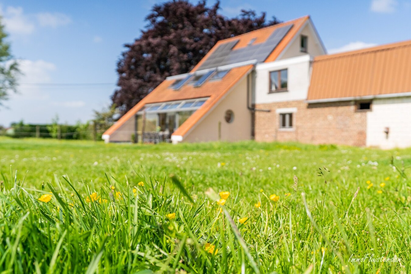 Prachtige woning met paardenaccommodatie op ca. 48a te Landen 