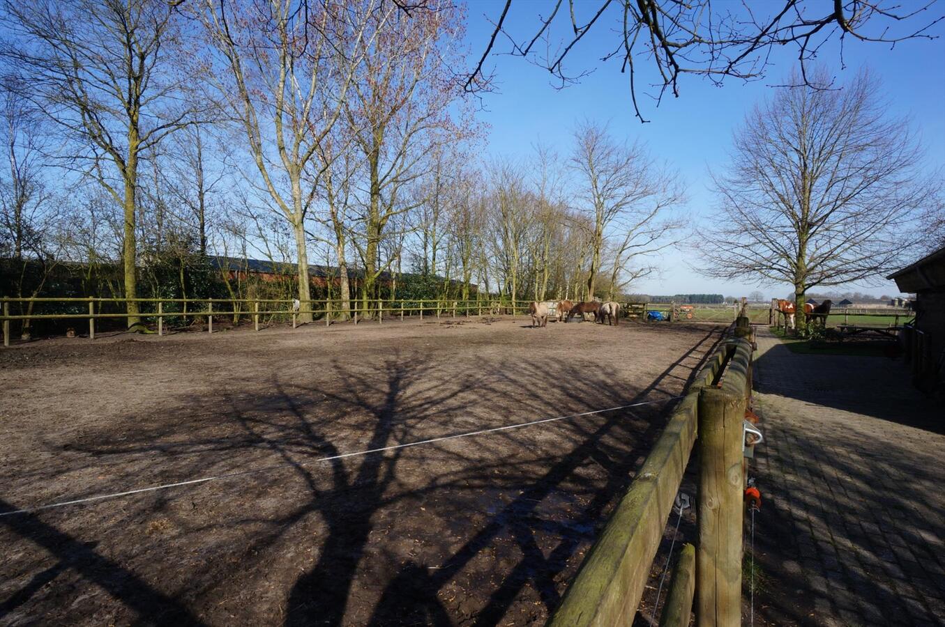 Hoeve met stallen en weide op ca. 1,12 ha te WEELDE 