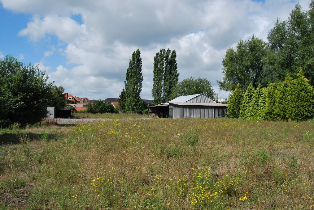 Op te frissen woning met loods op ca. 1,4ha te Deinze 