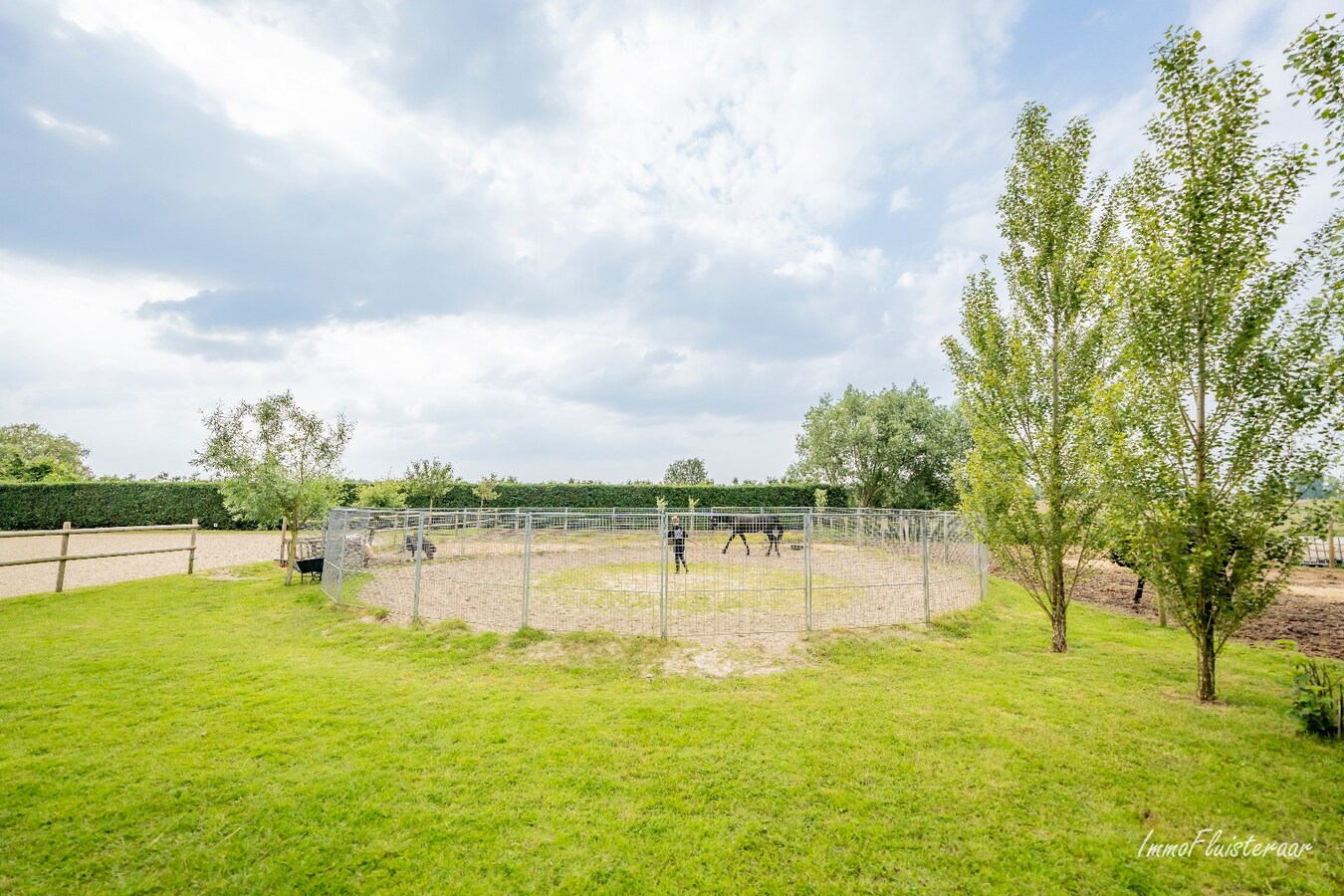 Charmante woning met hippisch complex op ca. 1,5 ha te Temse 