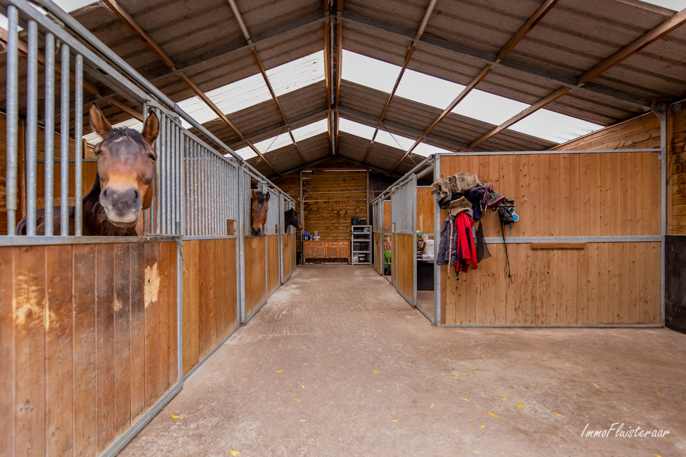 Woning met paardenaccommodatie en weiland op ca. 1ha te Kampenhout (Vlaams-Brabant) 