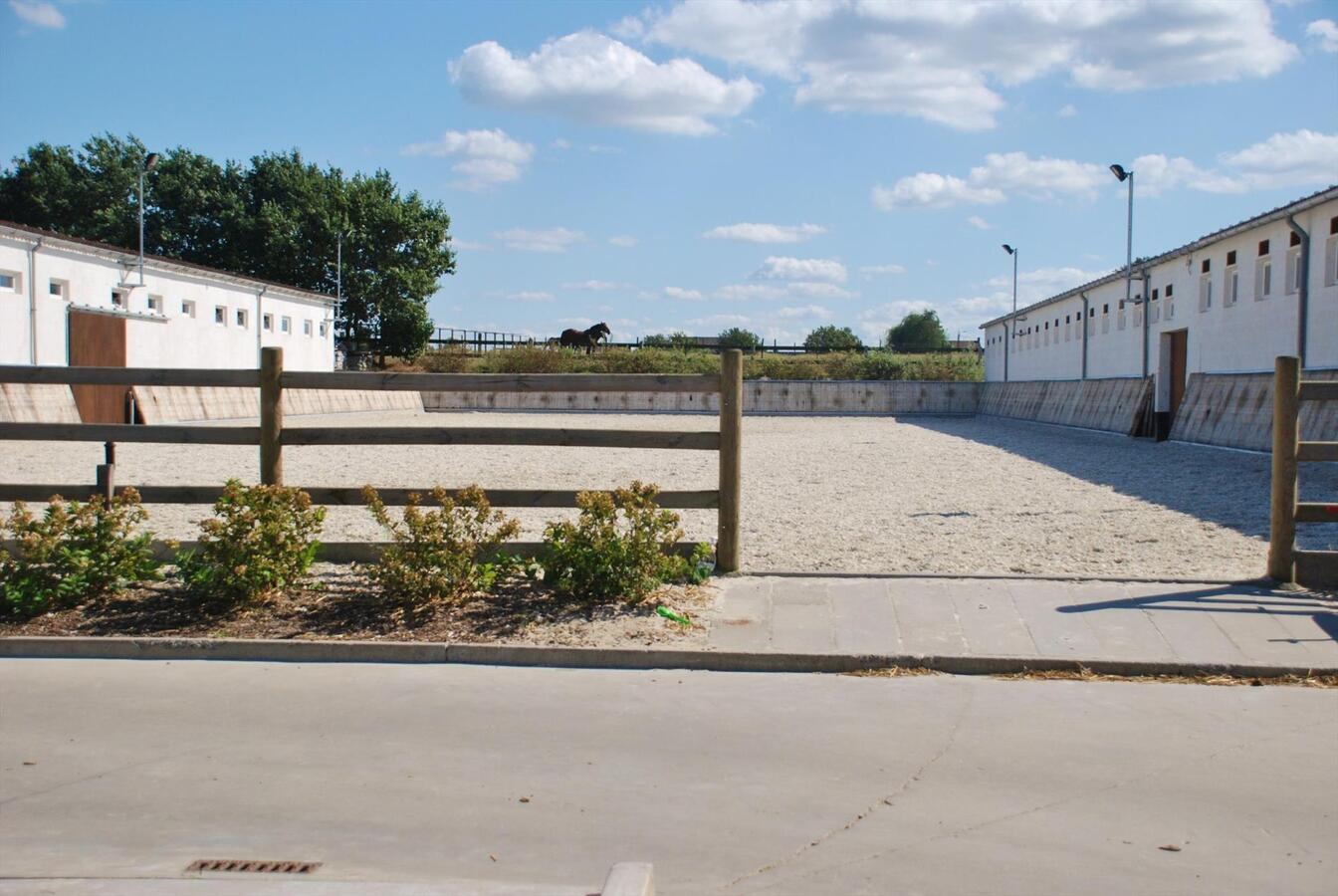 Vierkantshoeve met binnen- en buitenpiste en stallen op ca. 3Ha te Velzeke 