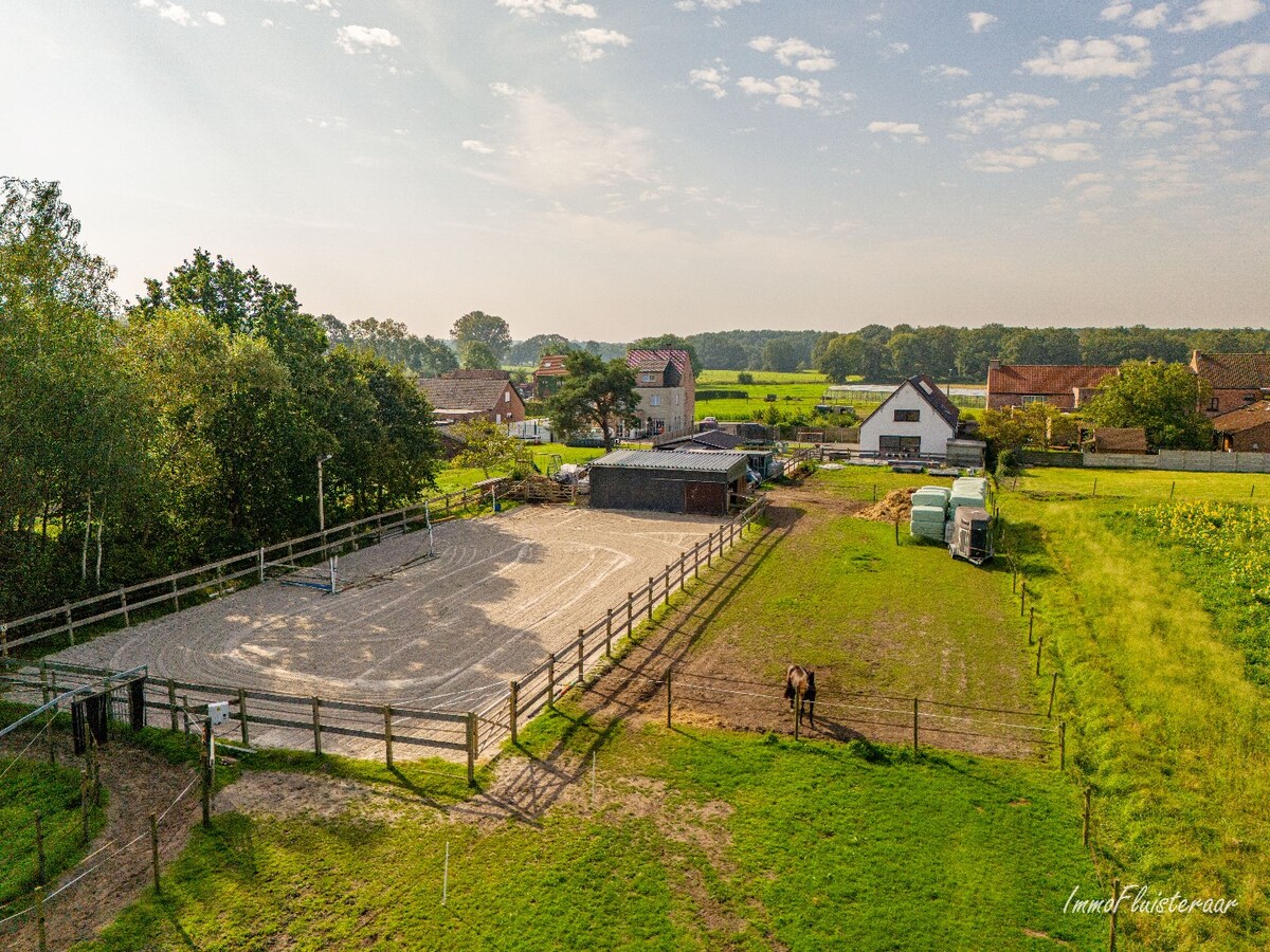 Halfopen woning met stallen, piste en weides op ca. 1,5 ha te Sint-Katelijne-Waver (Optioneel bij te kopen weide van ca. 1 ha) 