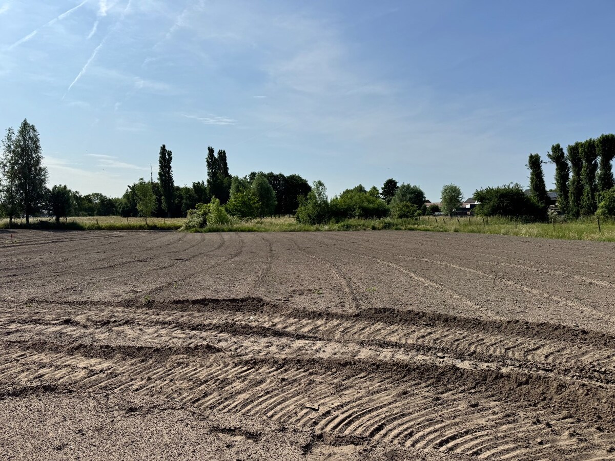 Rustig gelegen alleenstaande nieuwbouwwoning met 3 slaapkamers en prachtig zicht op de velden te Gistel 