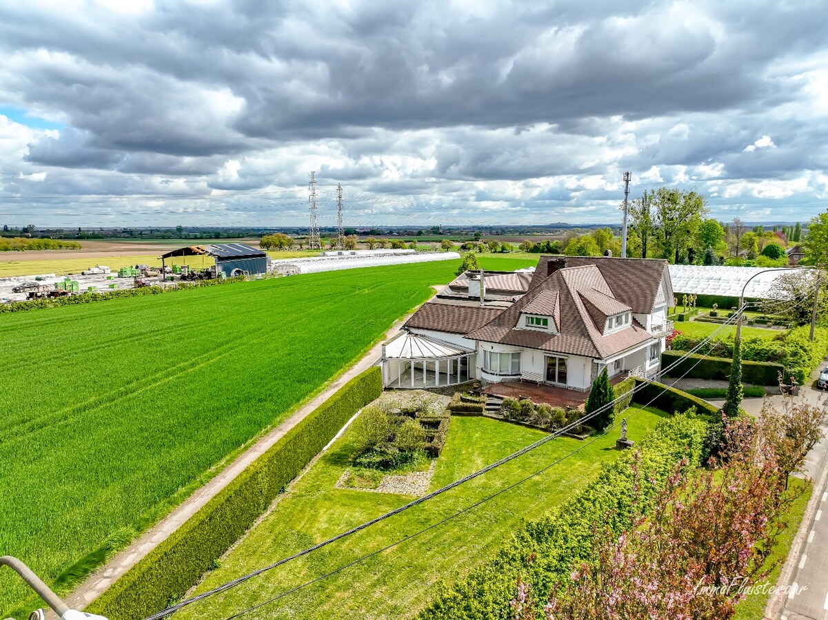 Unique property with two spacious houses on a plot of approximately 35 acres in Bilzen. 