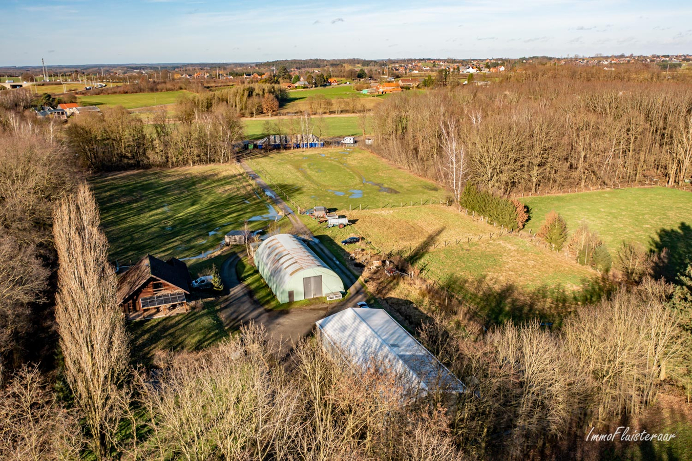 Chalet house, stable building, shed, gallop track, and pastures on approximately 9.5 hectares in Tielt-Winge (Flemish Brabant) 