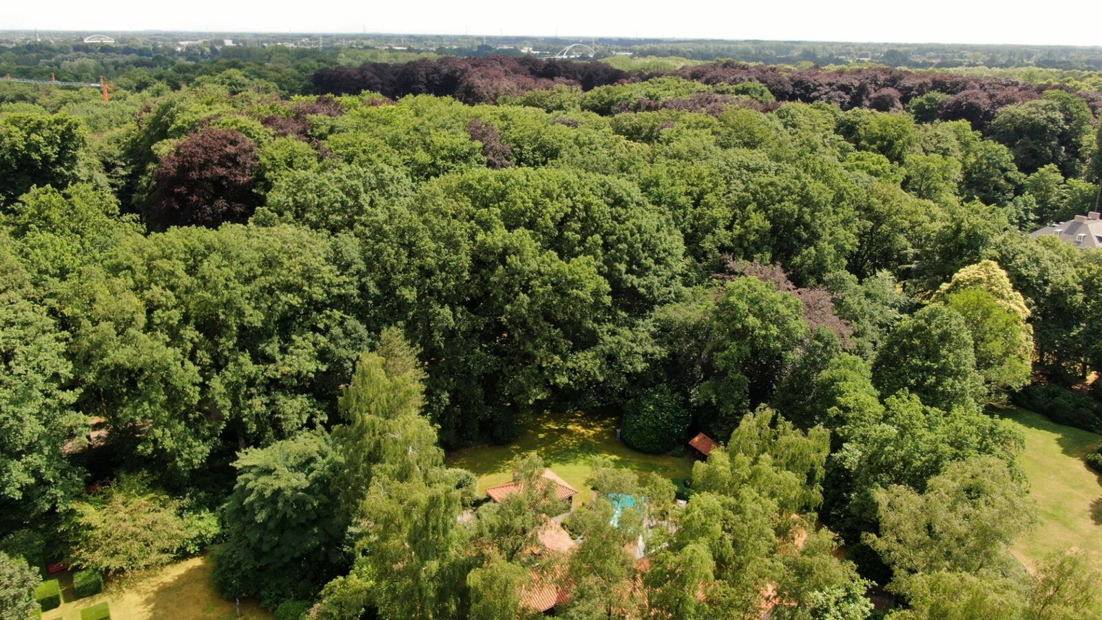 Gelijkvloersvilla op een perceel van 3.500 m&#178; op een toplocatie te Schilde 