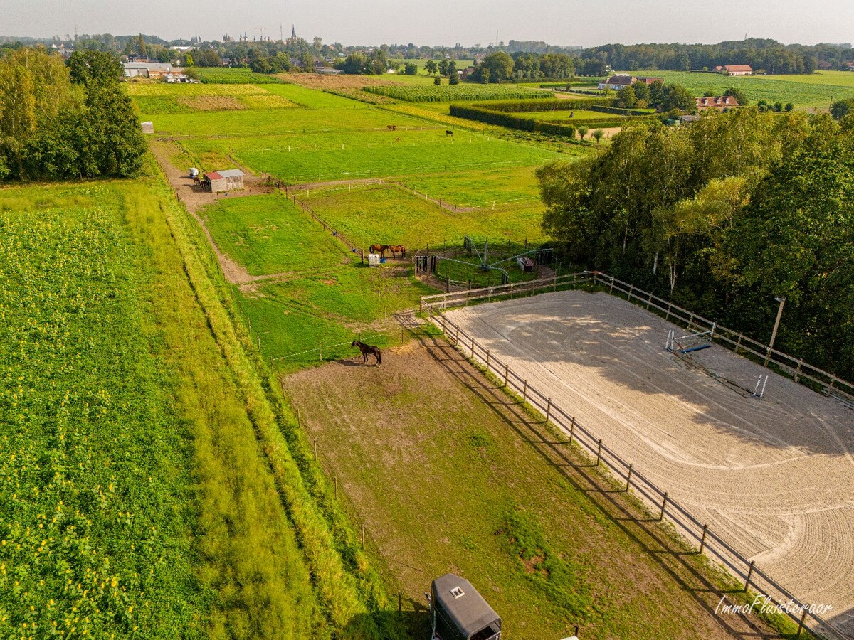 Halfopen woning met stallen, piste en weides op ca. 1,5 ha te Sint-Katelijne-Waver (Optioneel bij te kopen weide van ca. 1 ha) 