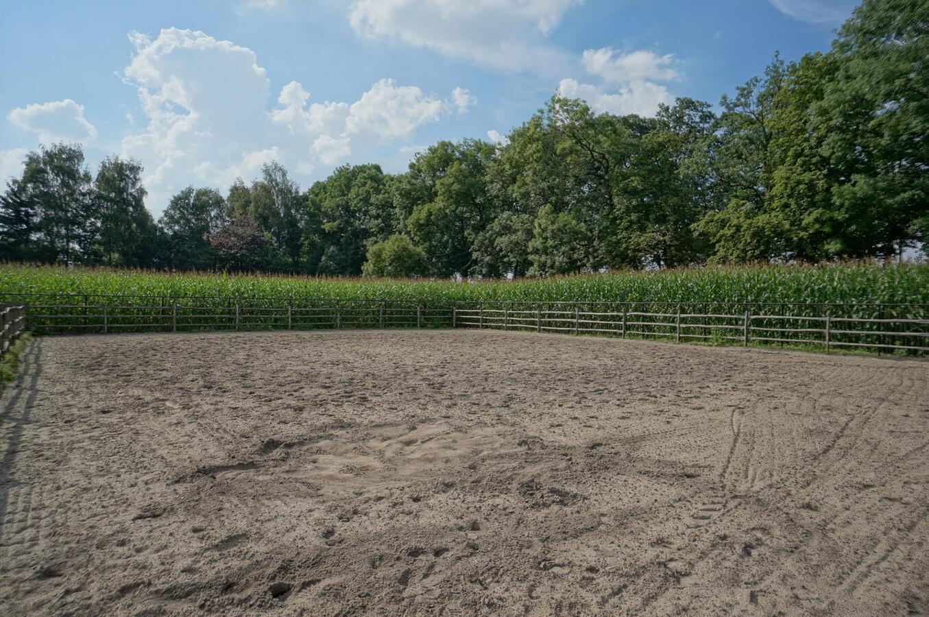 Landhuis met stallen, piste en weide op ca. 3800m&#178; te Neerpelt (Limburg) 