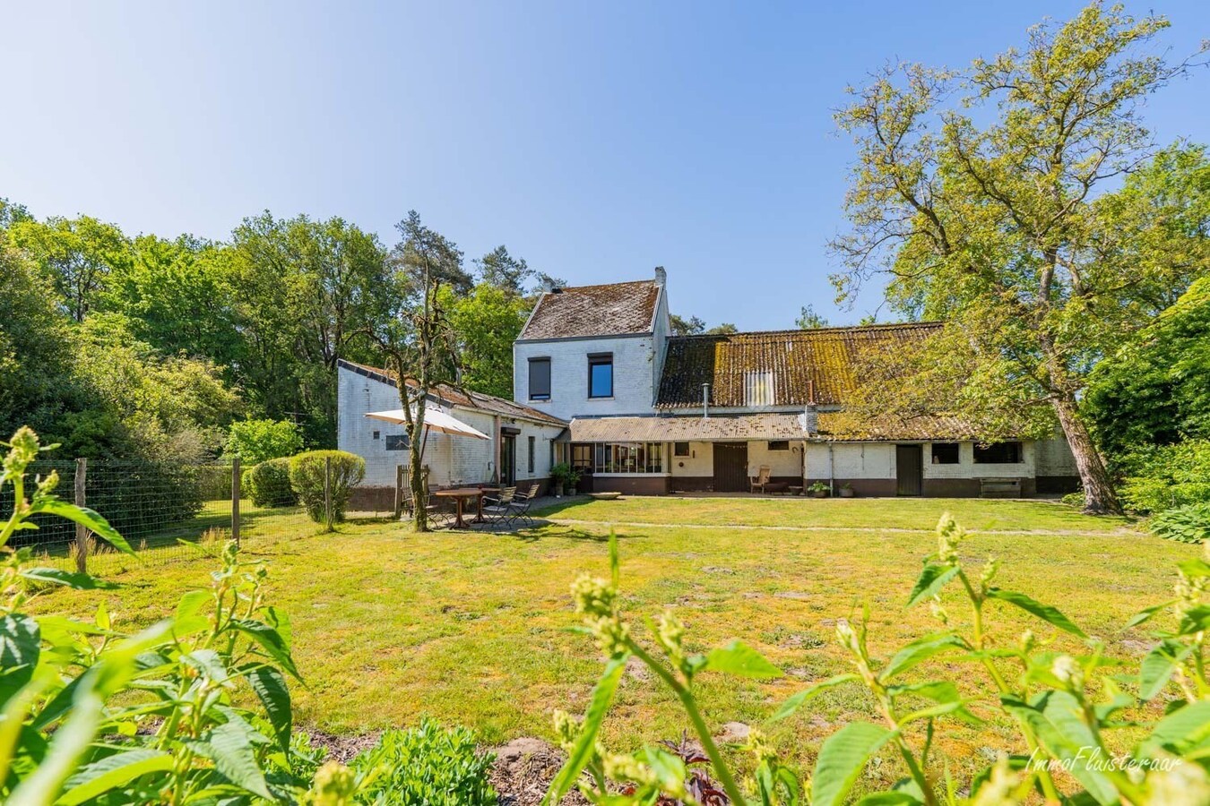 Hoeve op een uitzonderlijke locatie op ca. 5ha te Ham 