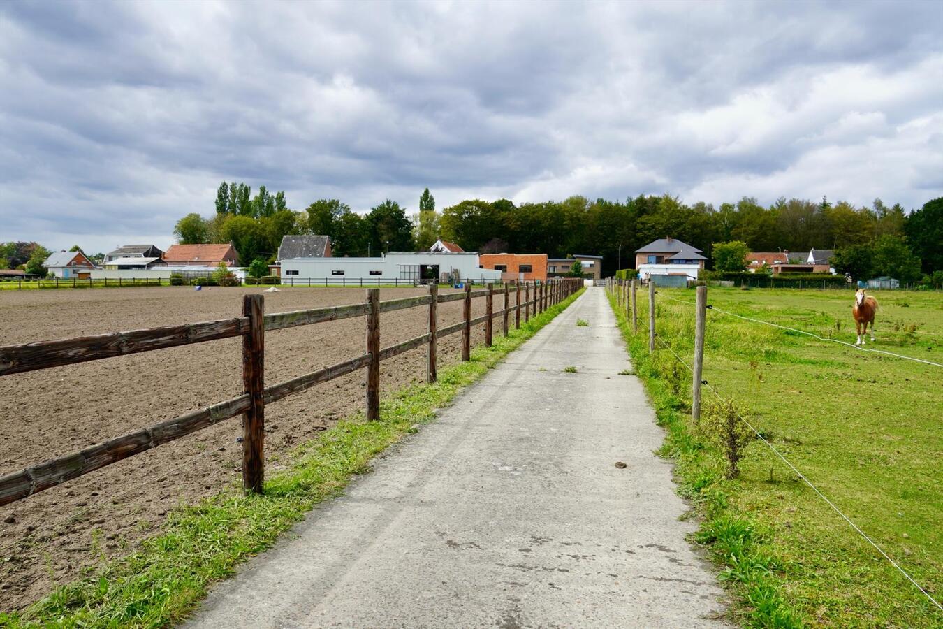 Two-family house with stables, shed and pasture on approximately 2,28ha in Sint-Katelijne-Waver 