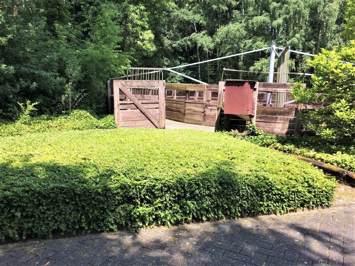 Ruime villa met paardenaccommodatie, zwembad, tennisterrein, renbaan en weiland op ca. 2ha65a te Huldenberg (Vlaams-Brabant) 