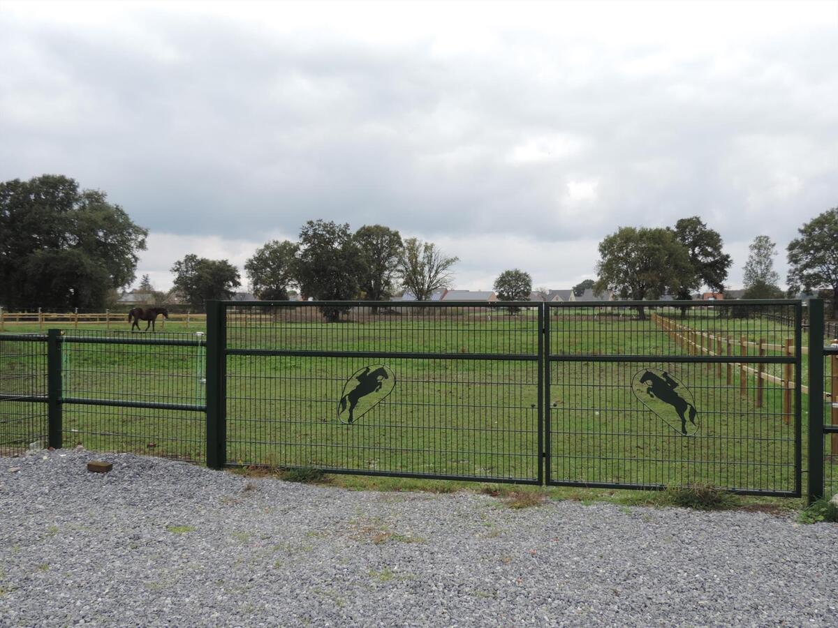 Landelijke hoeve met weide op ca. 93 are te Kinrooi 