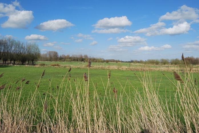 Woning met stalling op ca. 1,8ha te Zele 