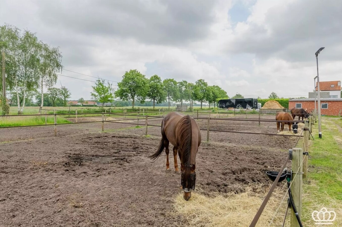 Magnifiquement situ&#233;e, charmante maison avec des installations pour chevaux sur environ 1,8 ha &#224; Essen. 