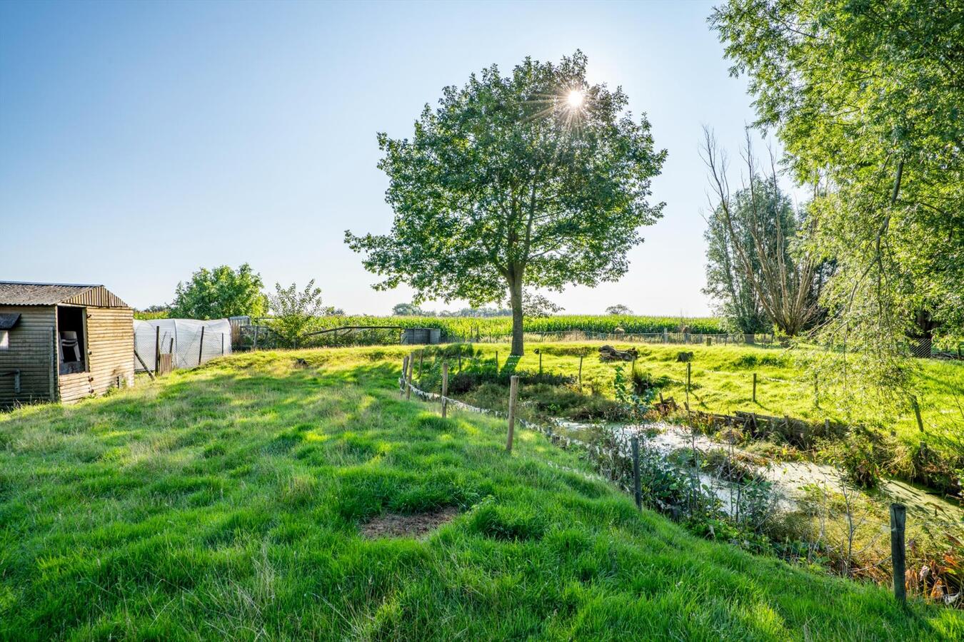 Grote woning met 6 slaapkamers en atelier op 2645 m&#178; te Koekelare 