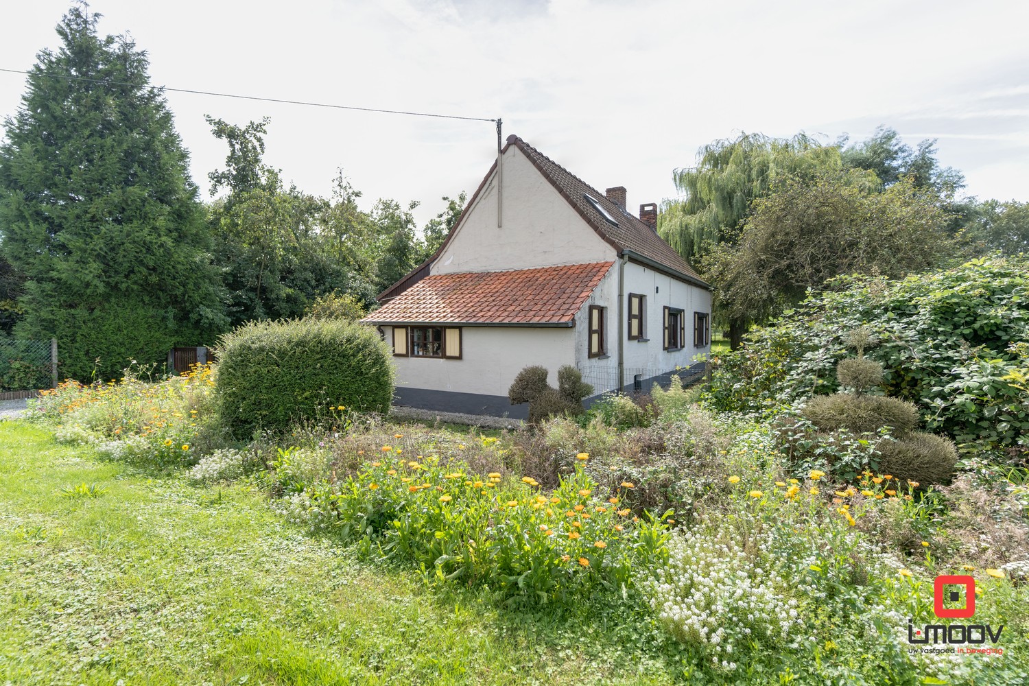 Gezellige cottage te koop in Sint-Laureins 