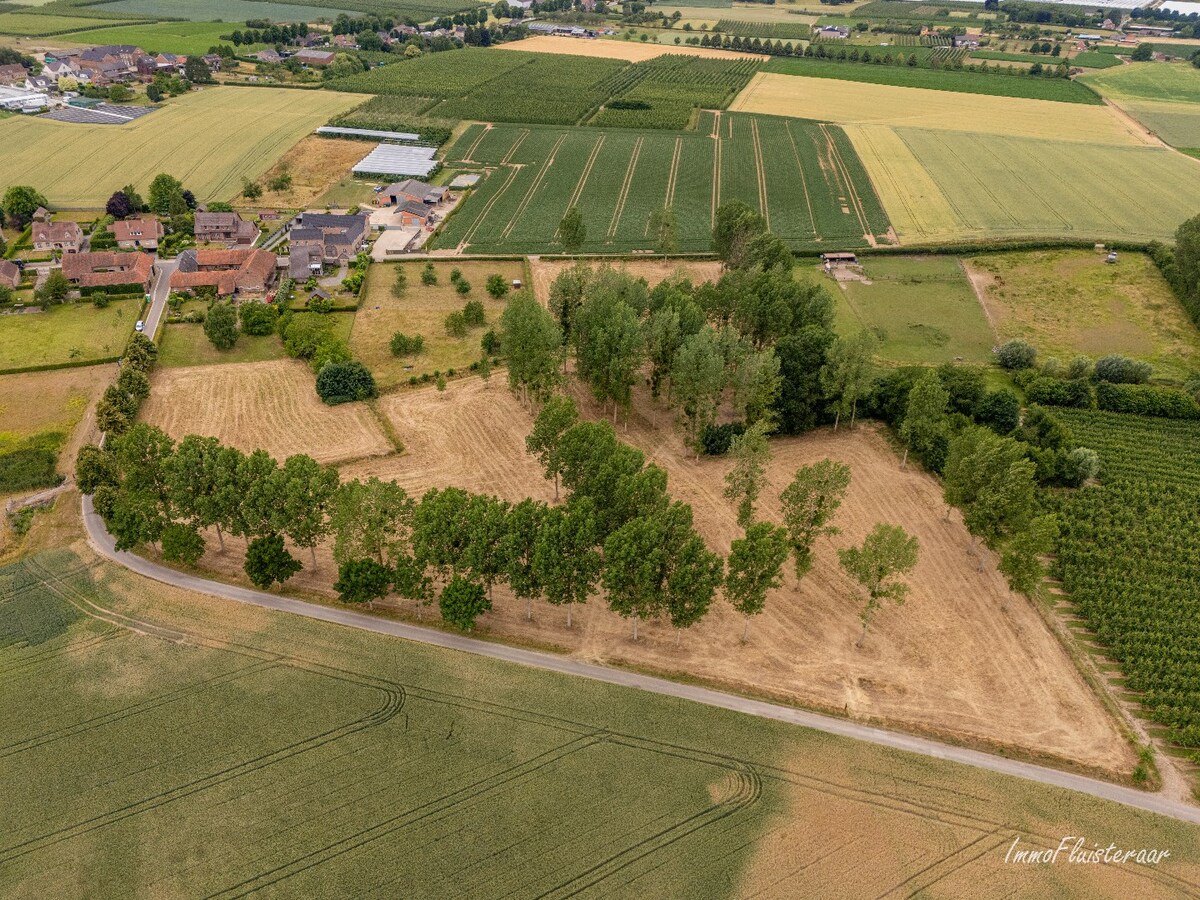 Charmante vierkantshoeve met veel potentieel op ca. 3,14 ha te Tongeren 